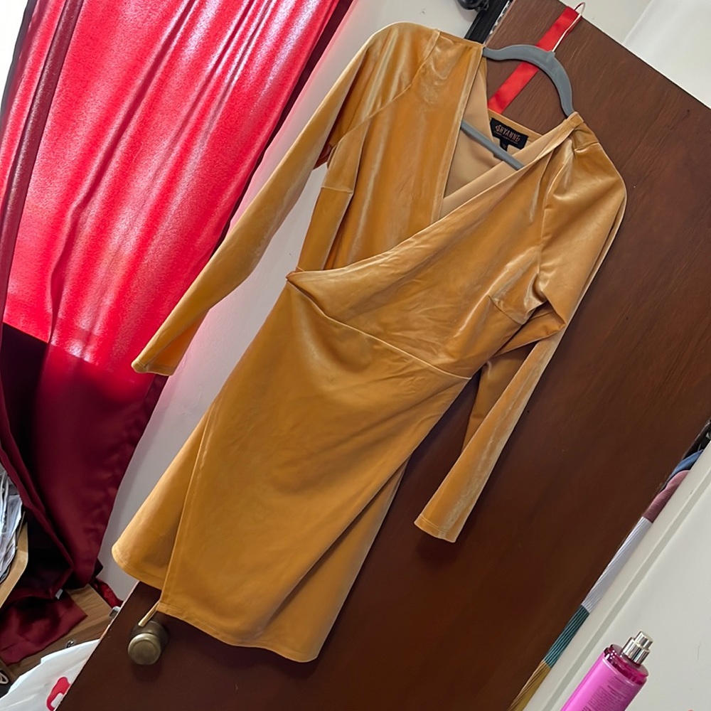 Never worn shyanne dress